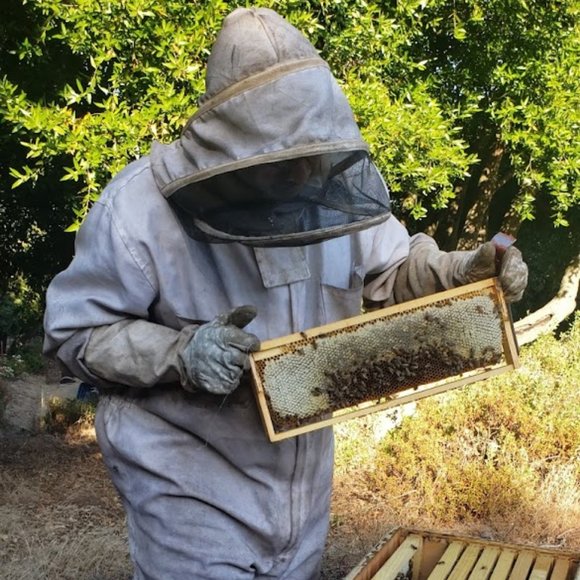 Meet your Posher, Zey - Picture 4 of 10